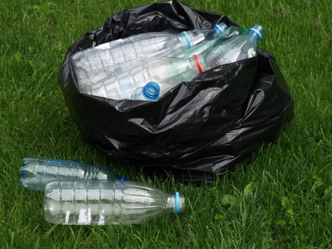 Clearing overgrown garden waste and bulky outdoor items in Swiss Cottage